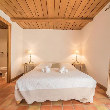 فيلة Tavara Di Porto-vecchio *